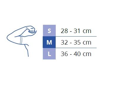 SPALLIERA THUASNE - immagine 2